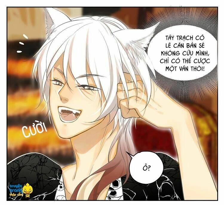 Cứu Mạng! Loài Mèo Thống Trị Thế Giới Rồi!: Chapter 19
