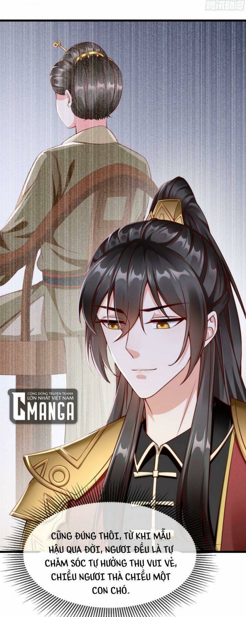 Vương Phi Là Đoá Bạch Liên Hoa: Chapter 21