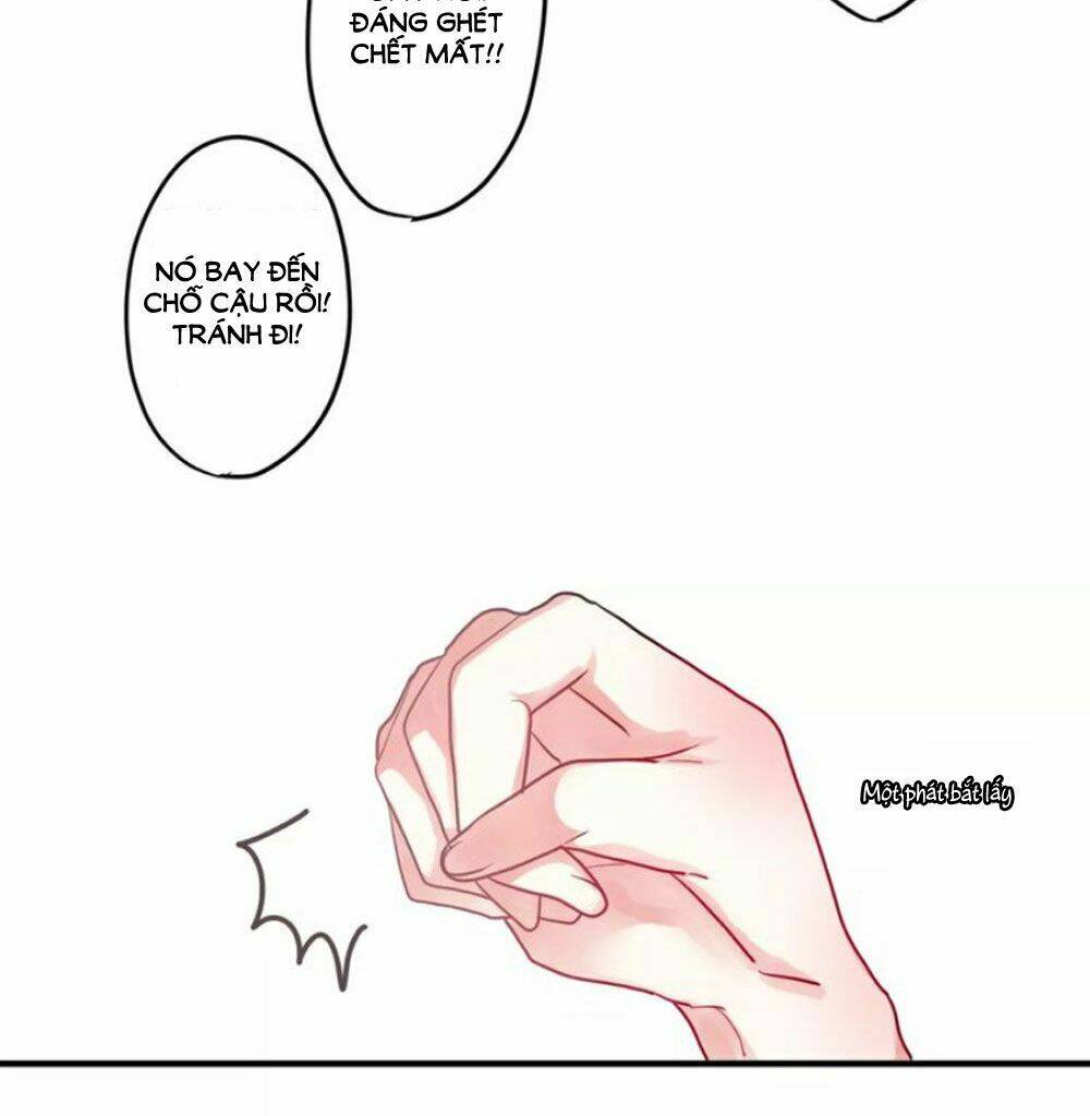 Tháng Sáu Kì Diệu: Chapter 20