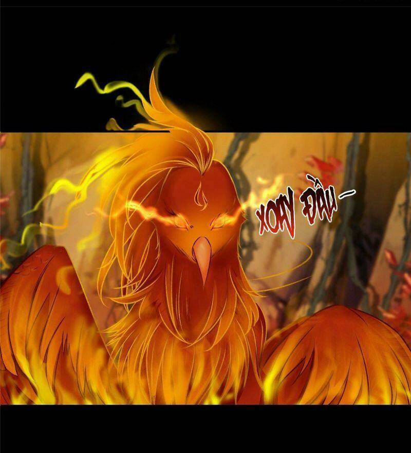 Nghịch Thiên Thần Phi Chí Thượng: Chapter 7