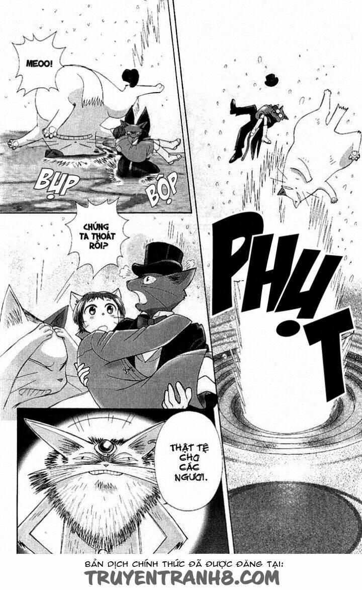 Lời Thì Thầm Từ Trái Tim: Chapter 8