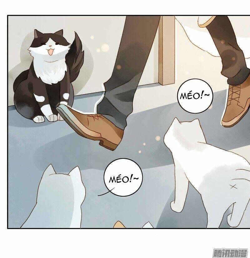 Sức Mạnh Của Sắc Đẹp: Chapter 64