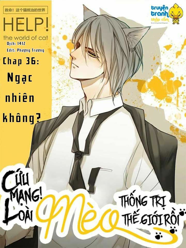 Cứu mạng ! Loài mèo thống trị thế giới rồi !: Chapter 36