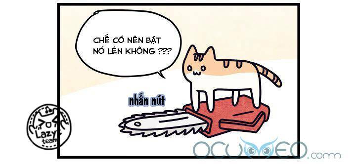Khi Loài Mèo Làm Bá Chủ Thế Giới: Chapter 5