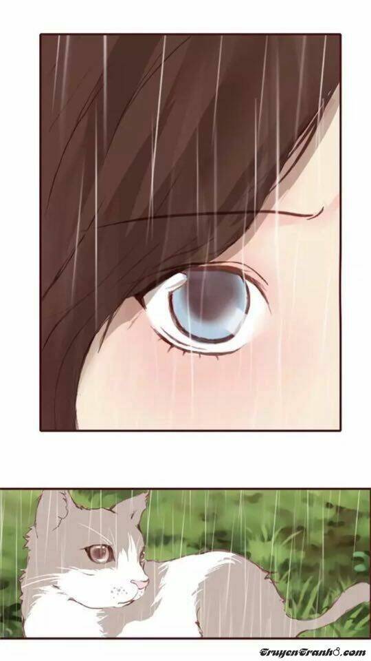 Trả Thù Trường Trung Học: Chapter 5