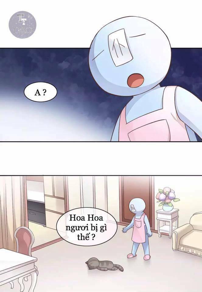 Dưới Móng Vuốt Mèo: Chapter 19