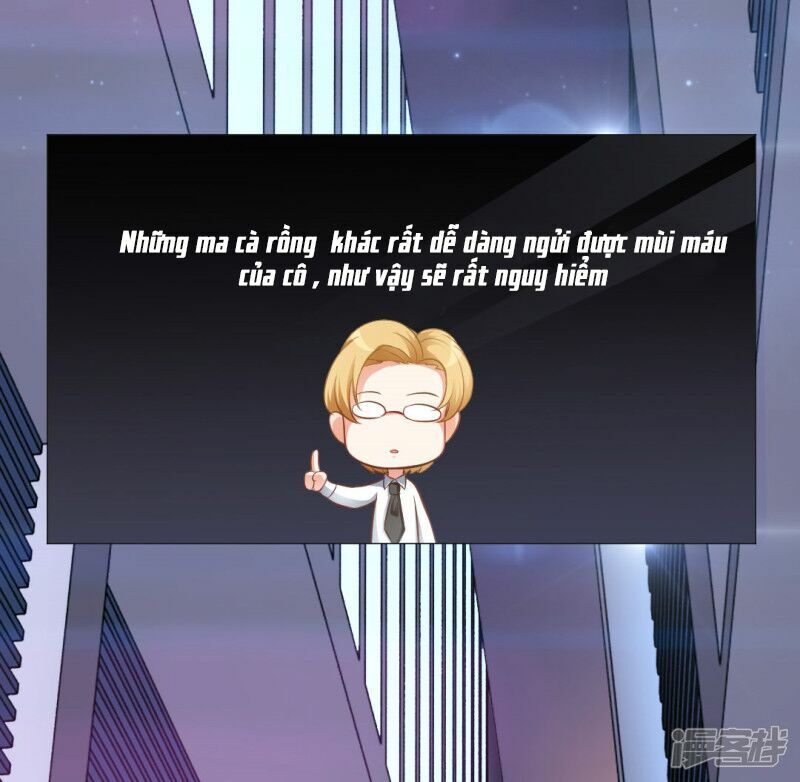 Minh Tinh Là Huyết Tộc: Chapter 7