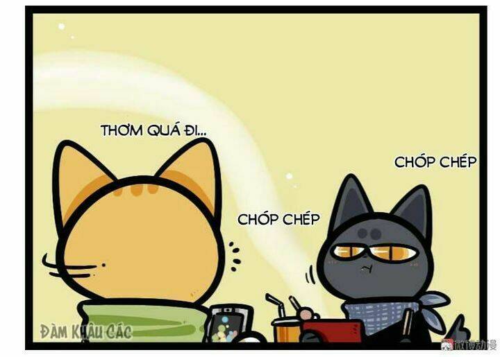 Đời Không Như Mình Tưởng: Chapter 58