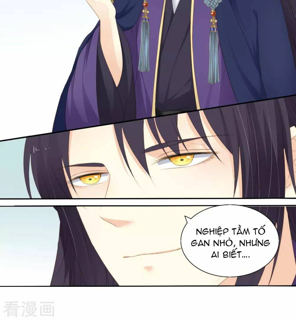 Quy Tự Dao: Chapter 67