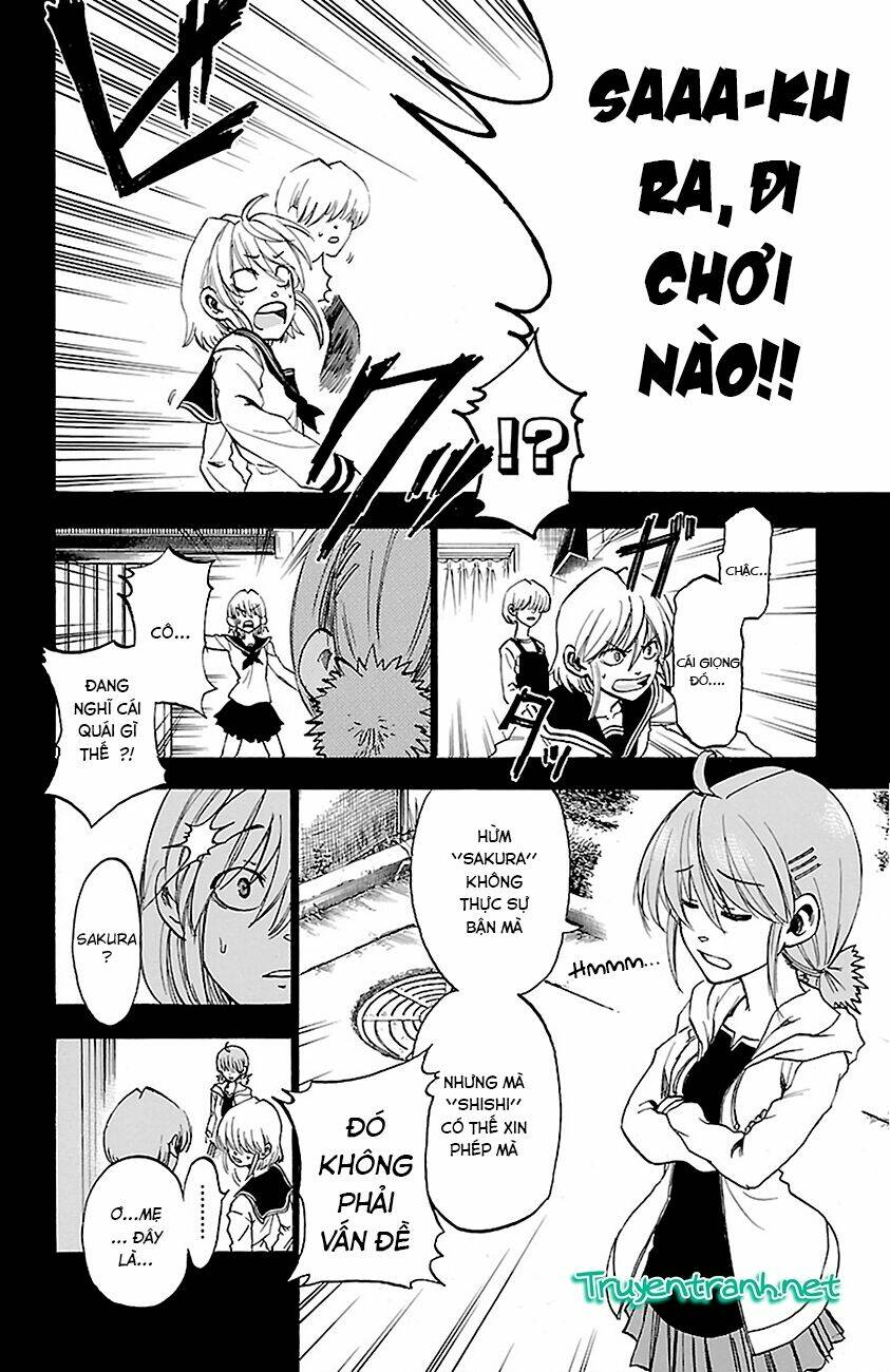 Sakura Discord: Chapter 5