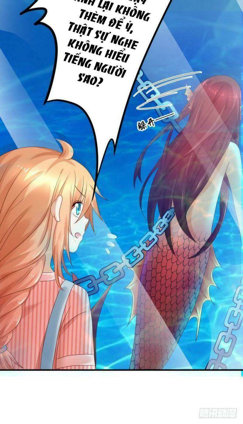 Nhân Ngư Học Trưởng, Đừng Ôm Ta!: Chapter 54