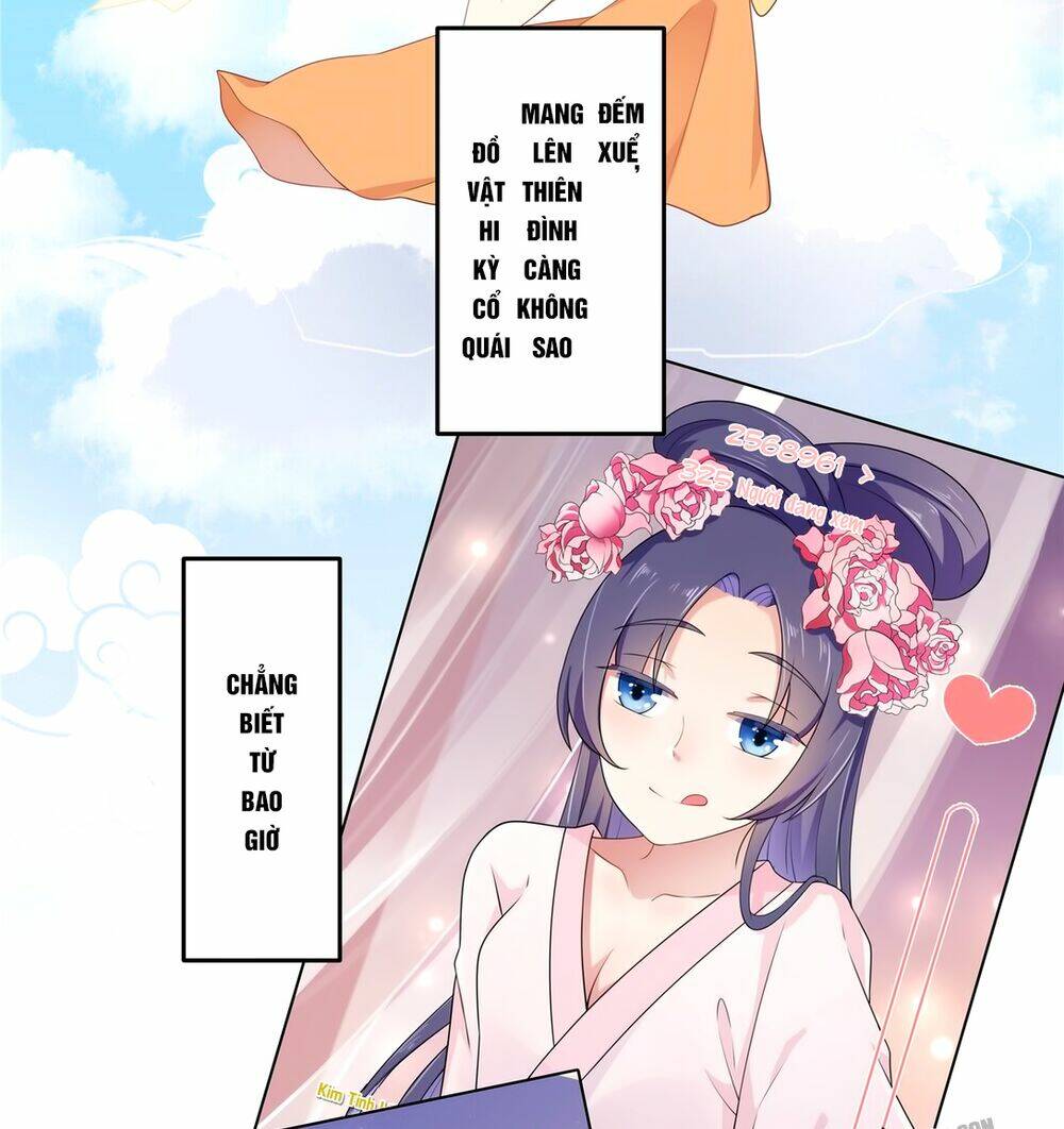 Báo Cáo! Đế Quân Ngài Có Độc!: Chapter 1