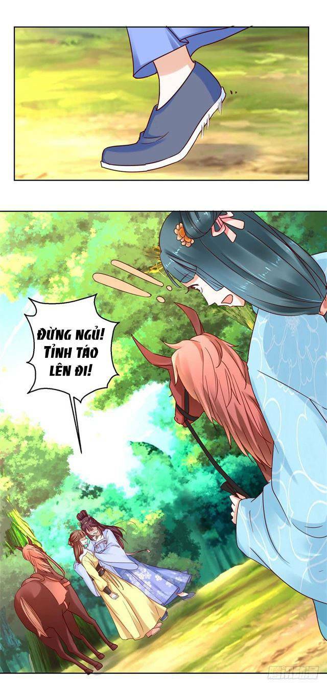 Đế Hoàng Chi Thần Y Khí Phi: Chapter 27