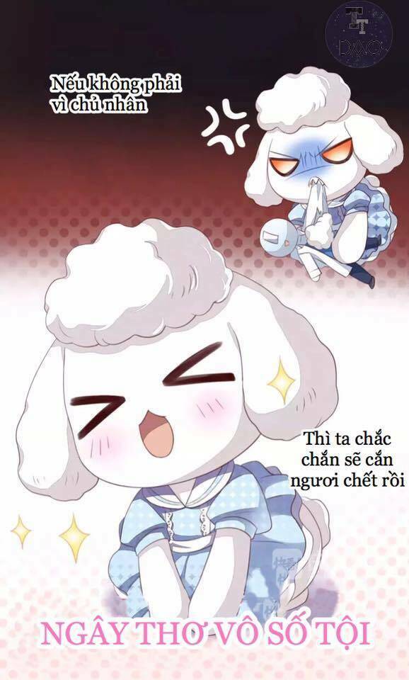 Dưới Móng Vuốt Mèo: Chapter 17