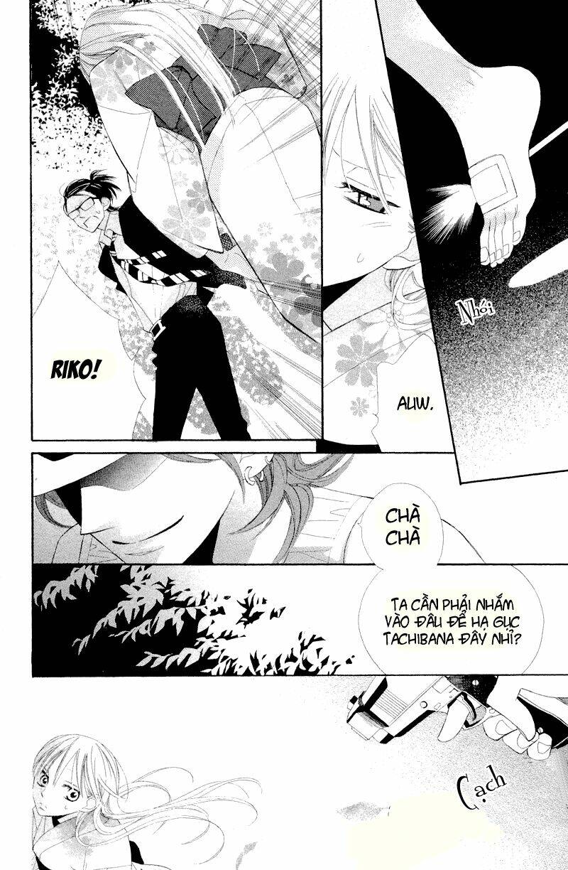 Hoa Trong Bão: Chapter 4