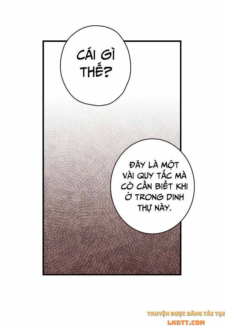 Hoàng Phi Bóng Tối: Chapter 16