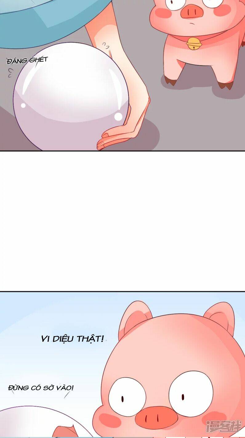 Đệ Tử Của Ta Là Heo: Chapter 2