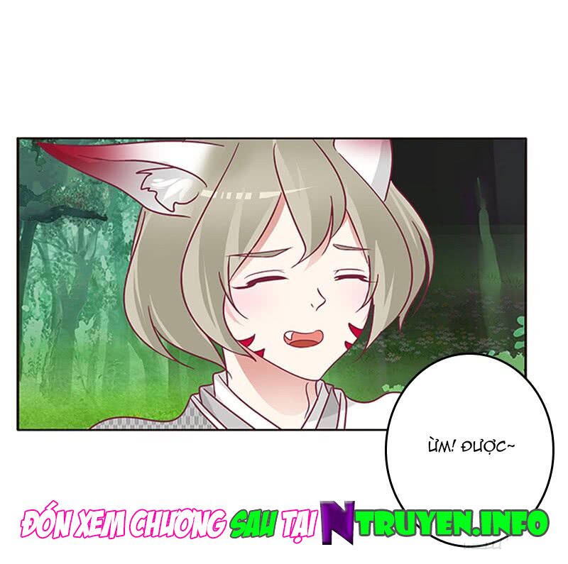 Thông Linh Phi: Chapter 317