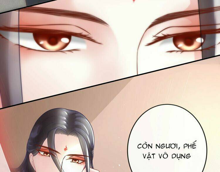 Báo Cáo Vương Gia, Vương Phi Là Một Con Mèo: Chapter 4