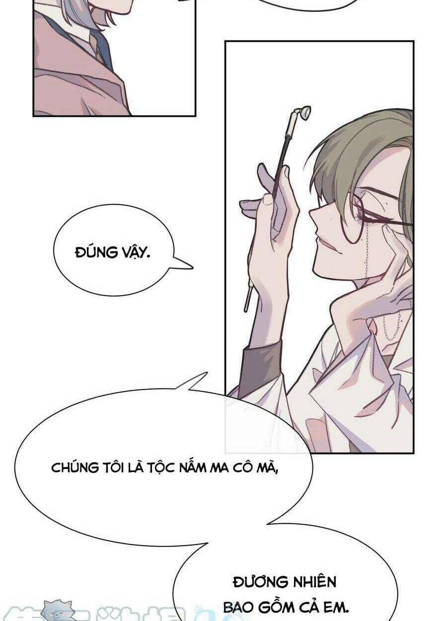 Nhật Ký Nấm Ma Cô: Chapter 3