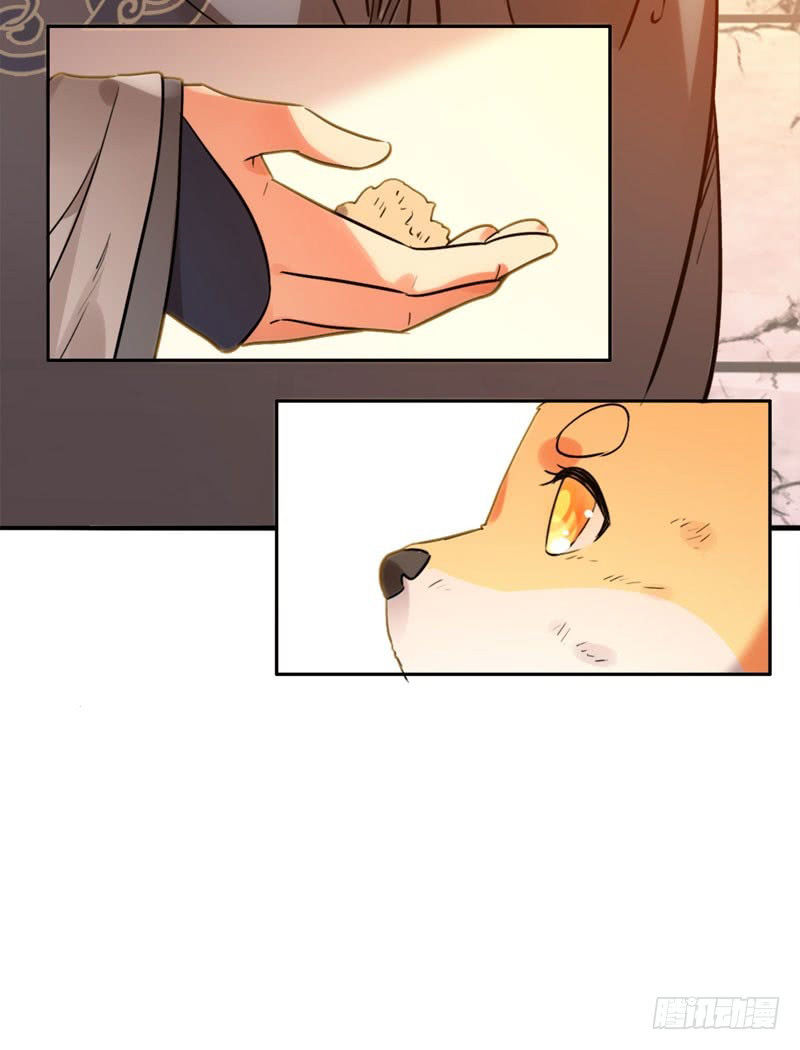 Lụ Đạn, Hôm Nay Lại Cũng Không Thể Biến Thành Người Được: Chapter 2