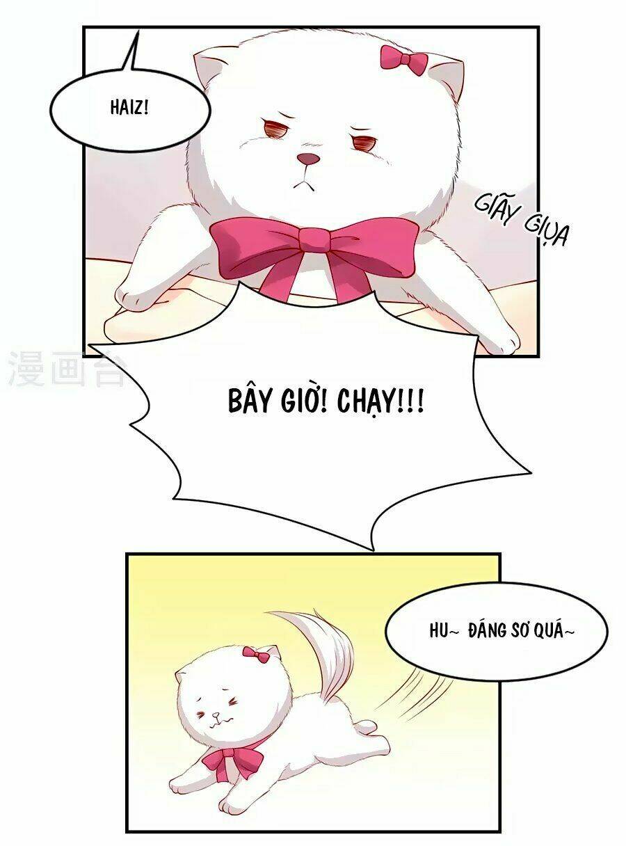 Trung Khuyển Và Tình Nhân: Chapter 4