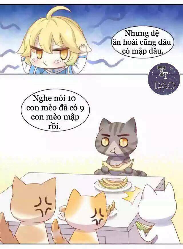 Dưới Móng Vuốt Mèo: Chapter 12