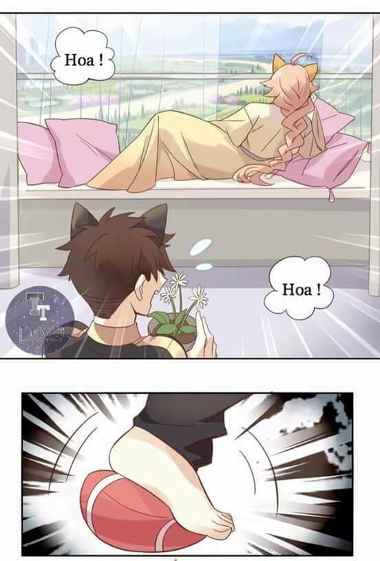 Dưới Móng Vuốt Mèo: Chapter 2