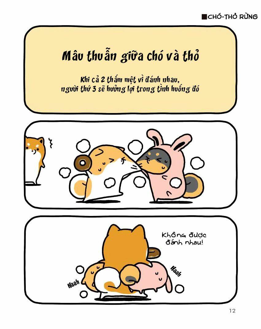 Taru Shiba: Chapter 9