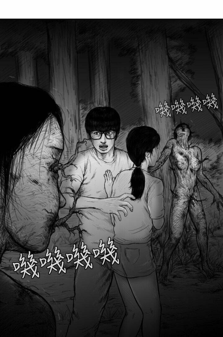 Hạt Giống Mỹ Nhân: Chapter 37