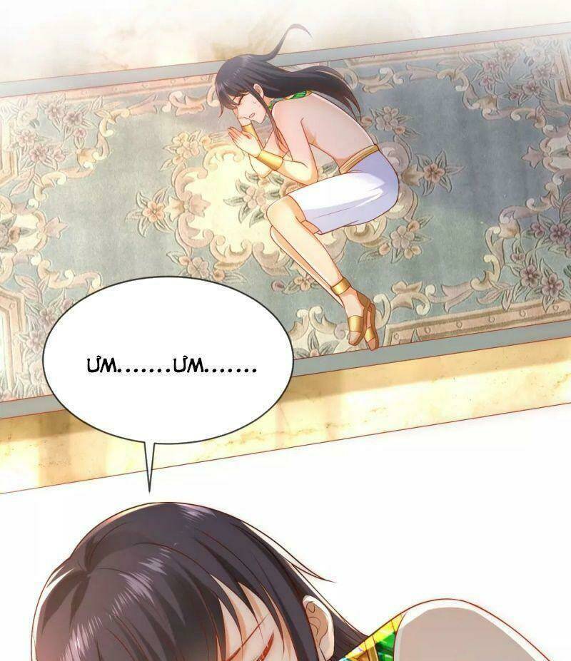 Sủng Hậu Của Vương: Chapter 56