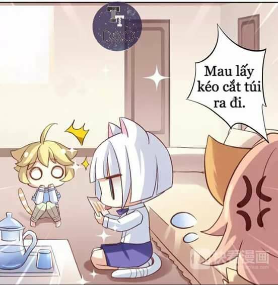 Dưới Móng Vuốt Mèo: Chapter 6
