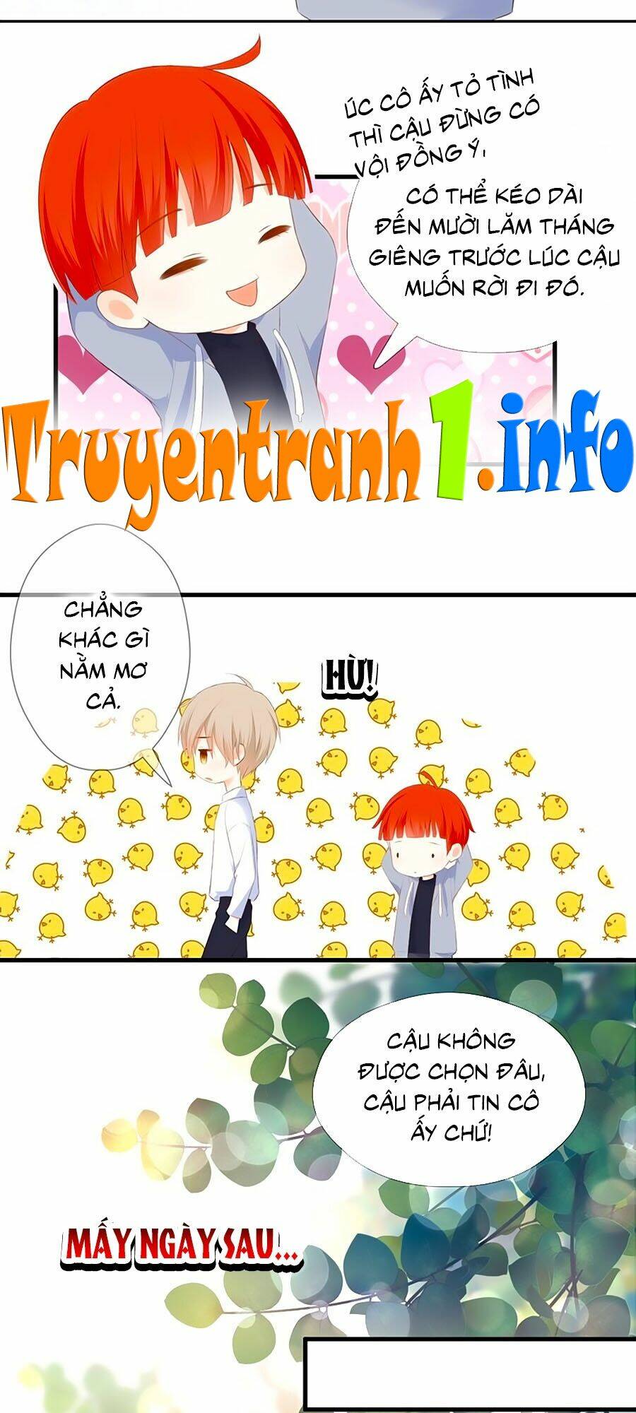 Đóa Hoa Chớm Nở: Chapter 61