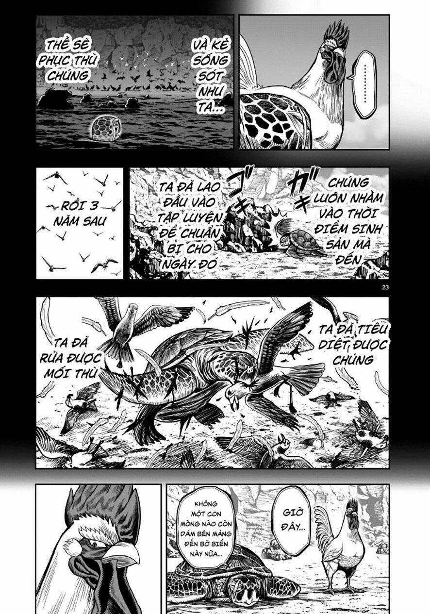 Cự Kê Chiến Ký: Chapter 4