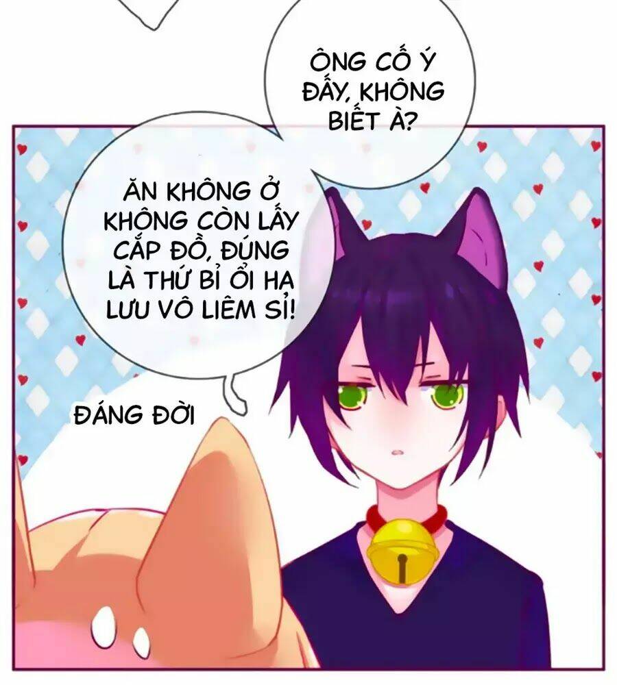 Đừng Nghịch, Ta Chỉ Muốn Yên Tĩnh: Chapter 63