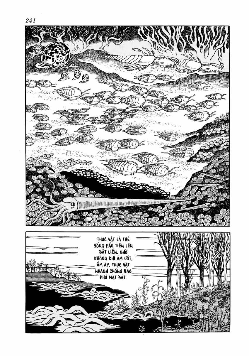 Chim Lửa: Chapter 28