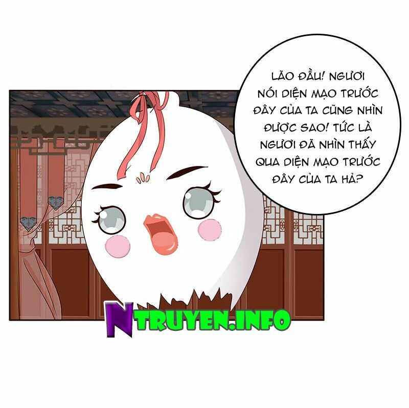 Thông Linh Phi: Chapter 165.5