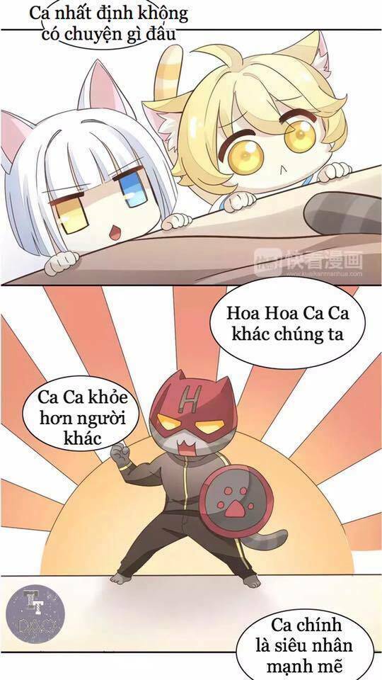Dưới Móng Vuốt Mèo: Chapter 19