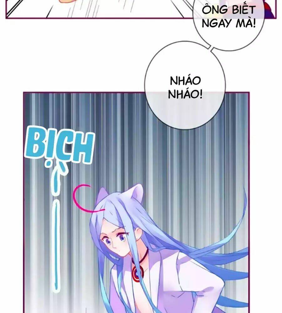 Đừng Nghịch, Ta Chỉ Muốn Yên Tĩnh: Chapter 63