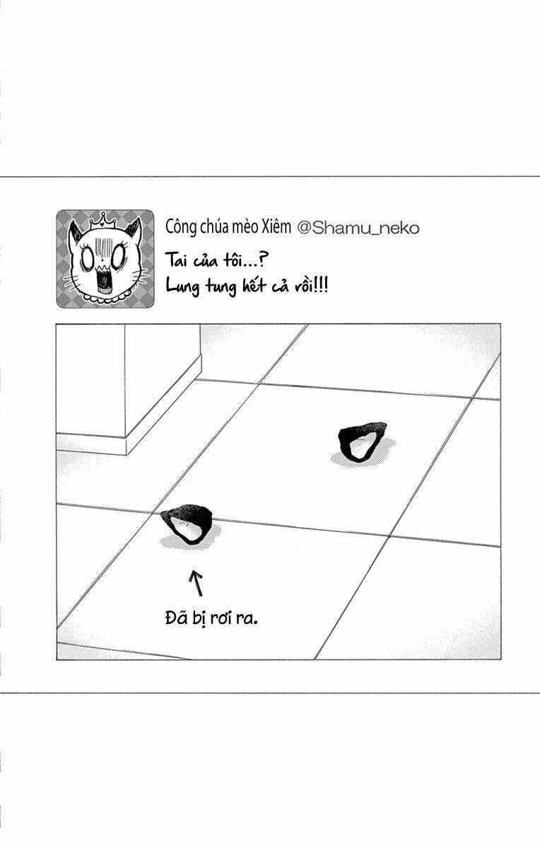 Watashi Wa Tensai O Katte Iru: Chapter 12