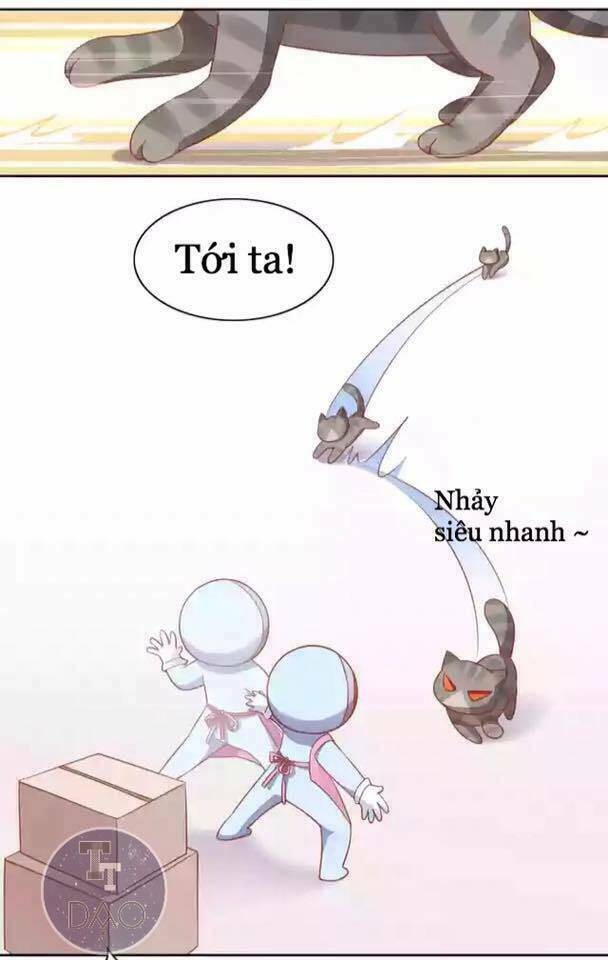 Dưới Móng Vuốt Mèo: Chapter 12