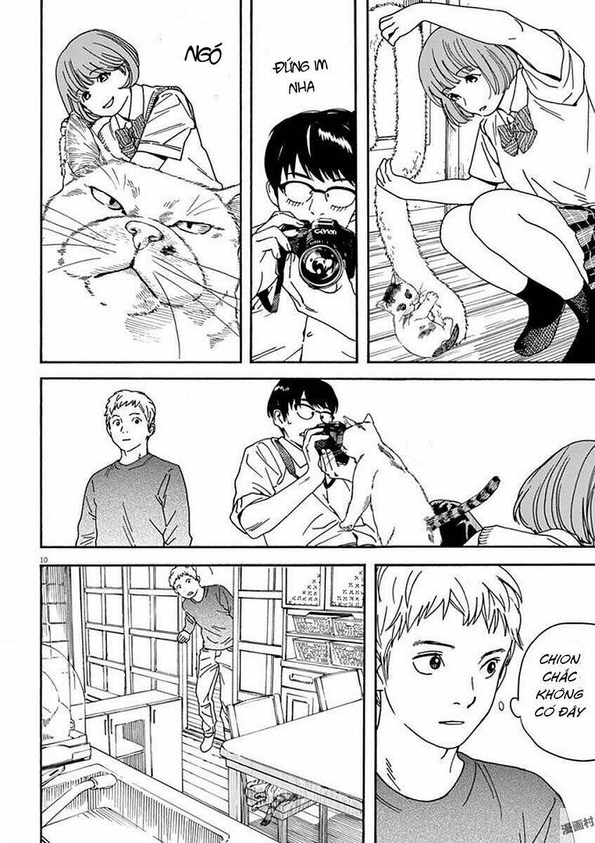 Neko No Otera No Chion-San: Chapter 49