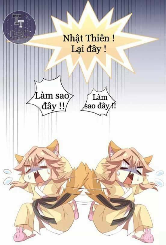 Dưới Móng Vuốt Mèo: Chapter 7