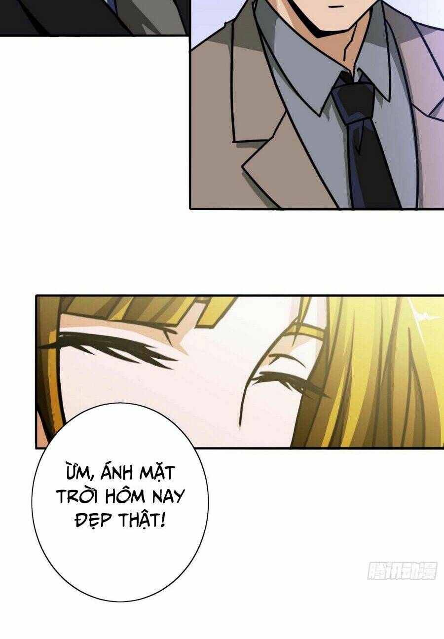 Hộ Hoa Cao Thủ Tại Đô Thị: Chapter 12