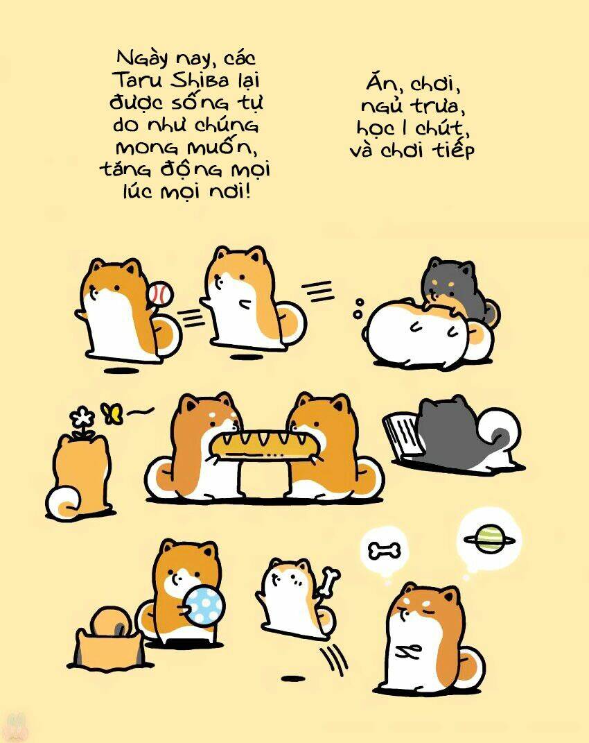 Taru Shiba: Chapter 9
