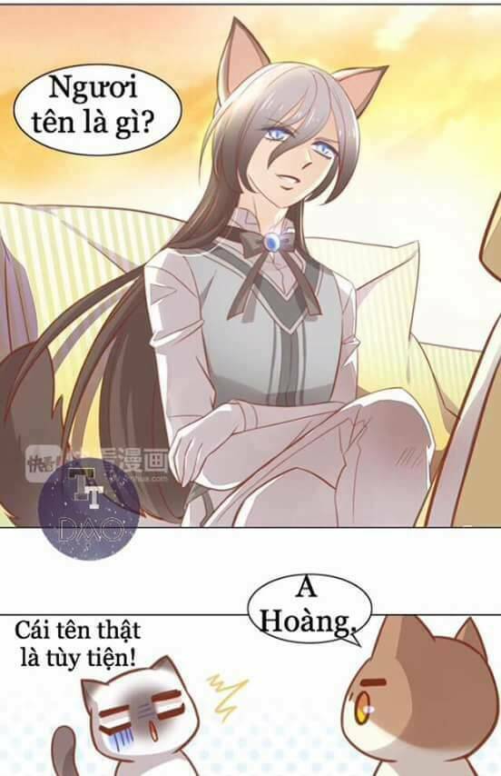 Dưới Móng Vuốt Mèo: Chapter 8
