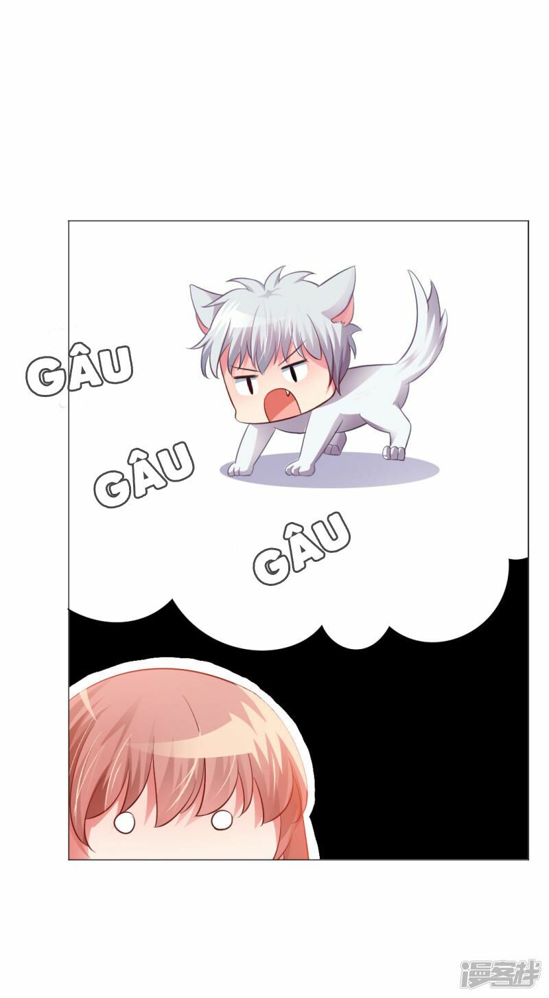 Minh Tinh Là Huyết Tộc: Chapter 11