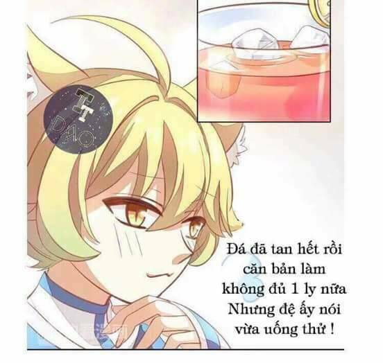 Dưới Móng Vuốt Mèo: Chapter 3