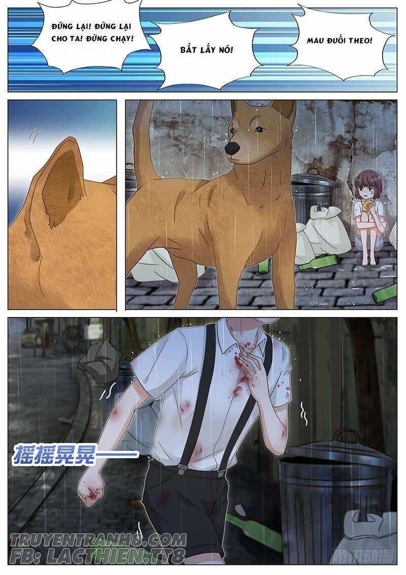 Vương Bài Giáo Thảo: Chapter 164