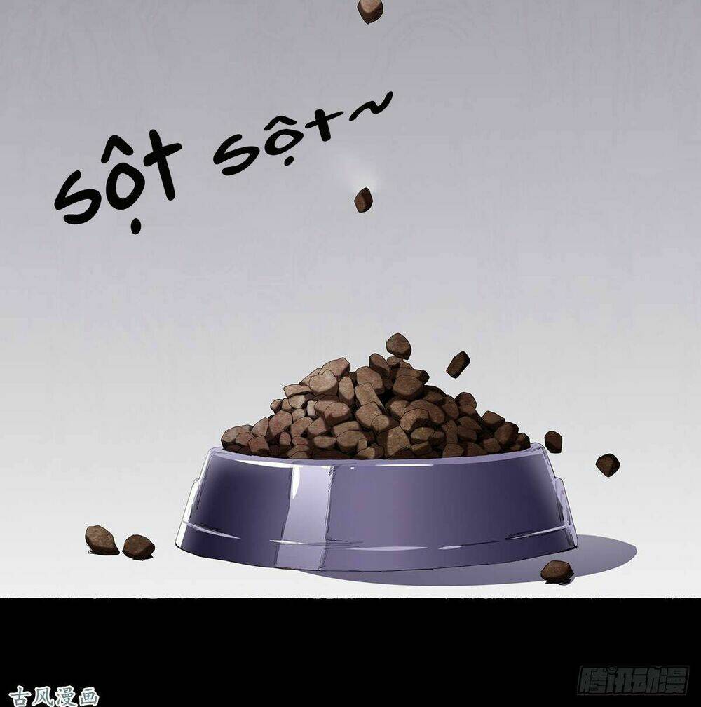 Ẩn Số Về Tứ Gia: Chapter 2